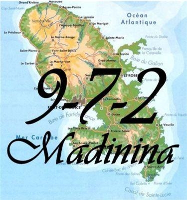 972 Madinina